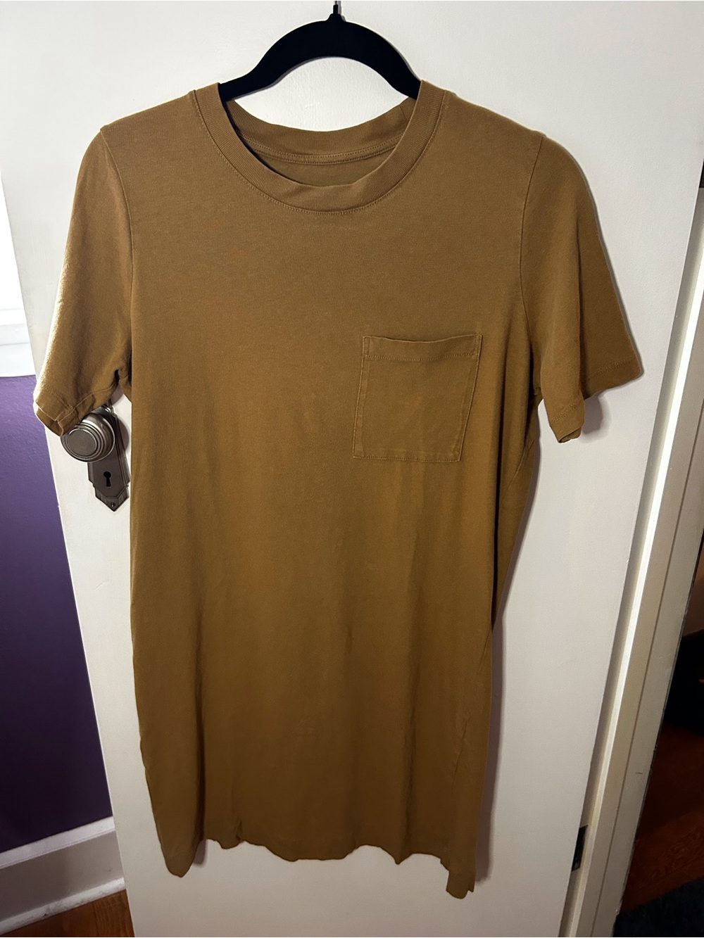 Everlane Mini Tshirt Dress in Olive Brown